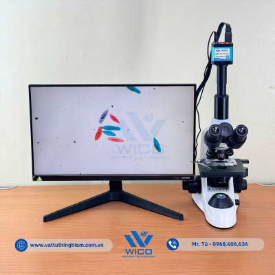 vttn-vuong-icc-1014-trung-co (3).jpg